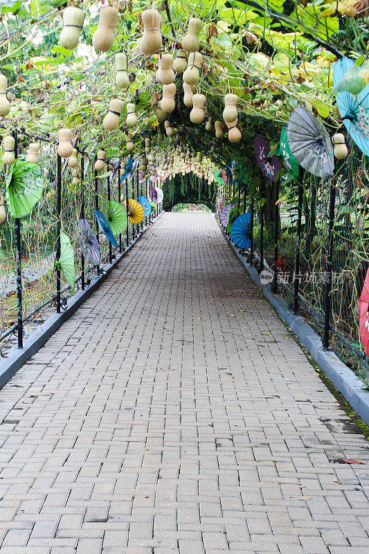 植物隧道装饰有雨伞和水果基地Tajug Gede Purwakarta